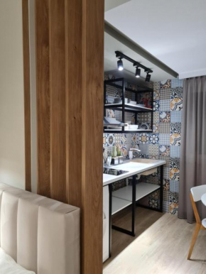 TAM Serviced Studio Apartment Myslym Shyri No1